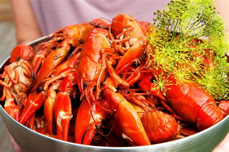 Swedish Crayfish Party Traditions “Kräftskiva ...